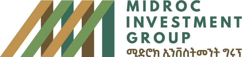 Midroc Investment Group
